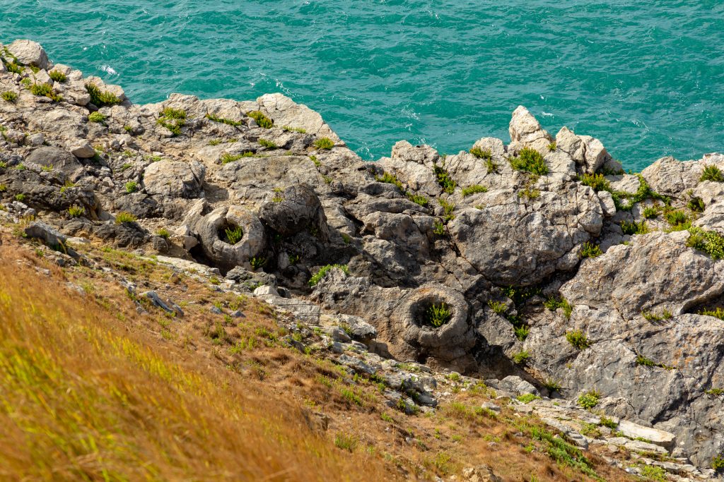 Looking down from a clifftop at Lulworth Fossil Forest, a series of grey circlular fossils on the grey rocks with the blue sea below.