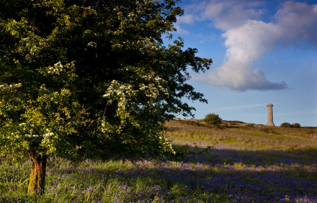 Hardy's Monument dorset england