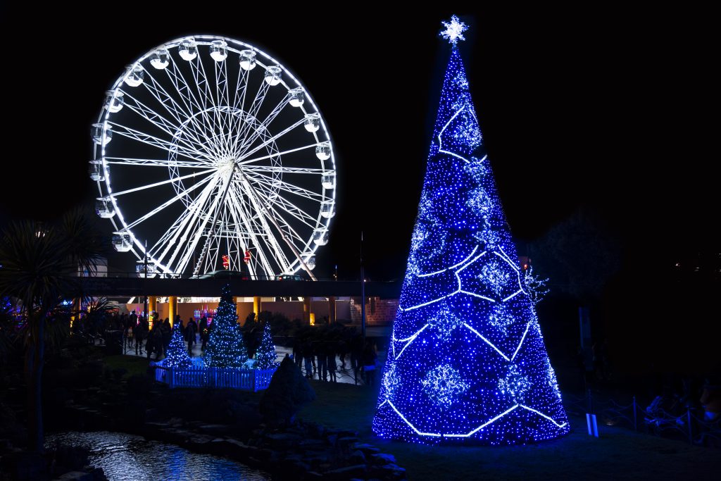 Dark night scene in a park in Bournemouth with a tall christmas tree lit up with bright blue lights in a diamond pattern, and a large white ferris wheel lit up white against the dark sky behind