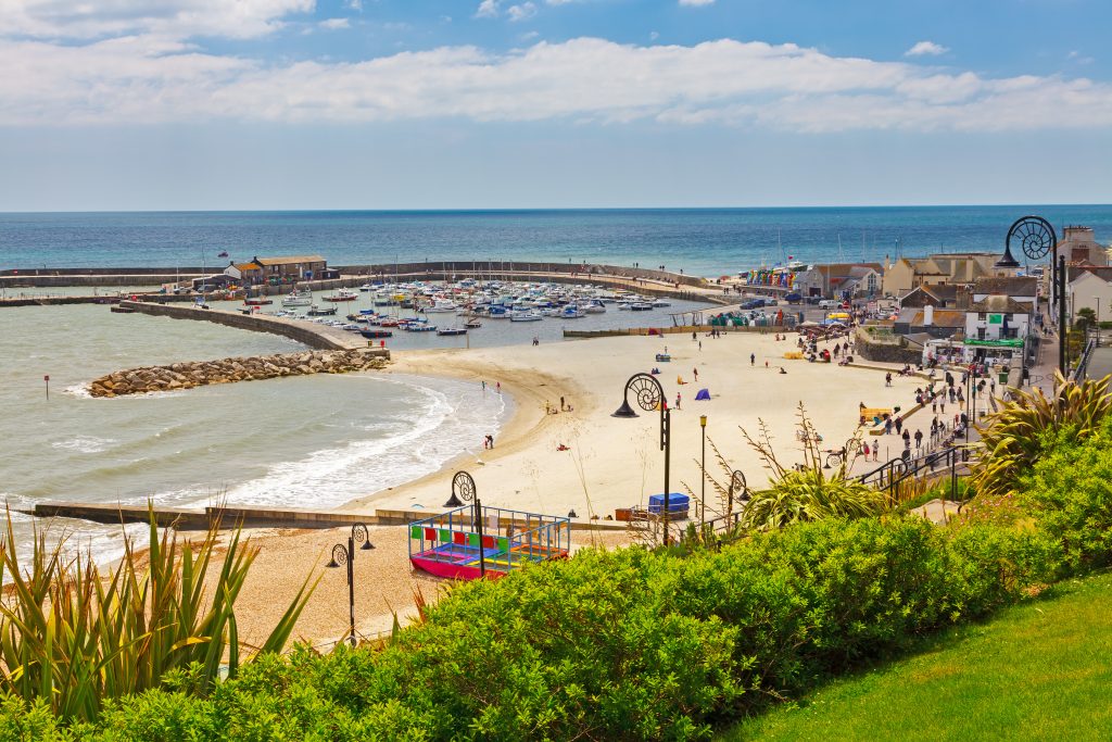 Looking down from a small gassy hill at Lyme Regis beach, a curved sandy beach with a stone breaker wall jutting out into the sea and the small walled harbour behind that filled with boats. 