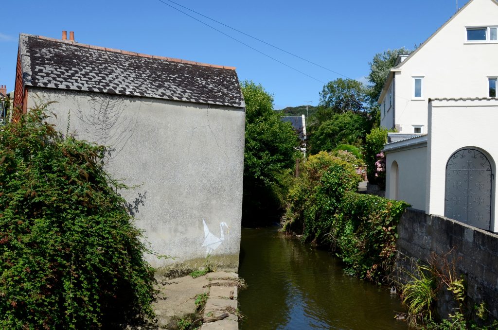 View of a narrow river in between two houses, the house on the left is a small grey stone cottage with no windows and a dark grey tiled roodf with a small white bird spraypainted onto the side, the building on the right is a larger whitewashed house. There is a low wall on the right bank of the river covered in green ivy and other bushes, and clear blue sky overhead. Things to do in lyme regis
