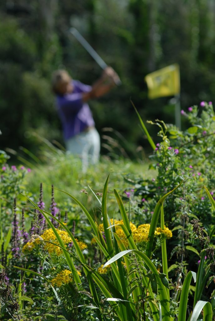 Out of focus man in a purple t shirt swinging a golf club beside a yellow flag, there is long grass and wild flowers in focus in the foreground, taken at Swanage Golf Games