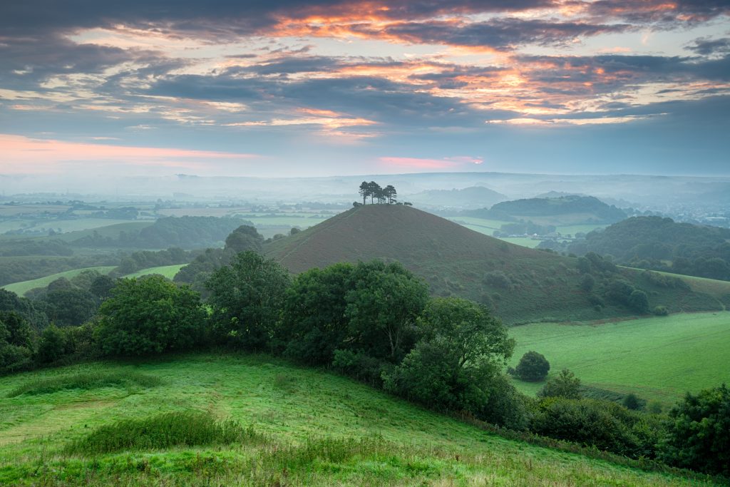 Landscape with a cone shaped grassy hill with a small patch of tall trees on the top surrounded by green countryside and farmland near sunset with pink and gold in the sky - Colmer's Hill near Bridport