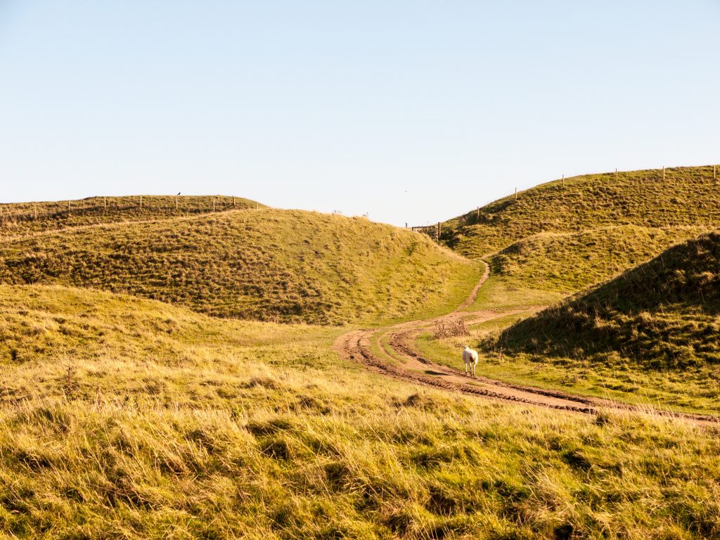 Maiden Castle Hillfort near Dorchester Dorset