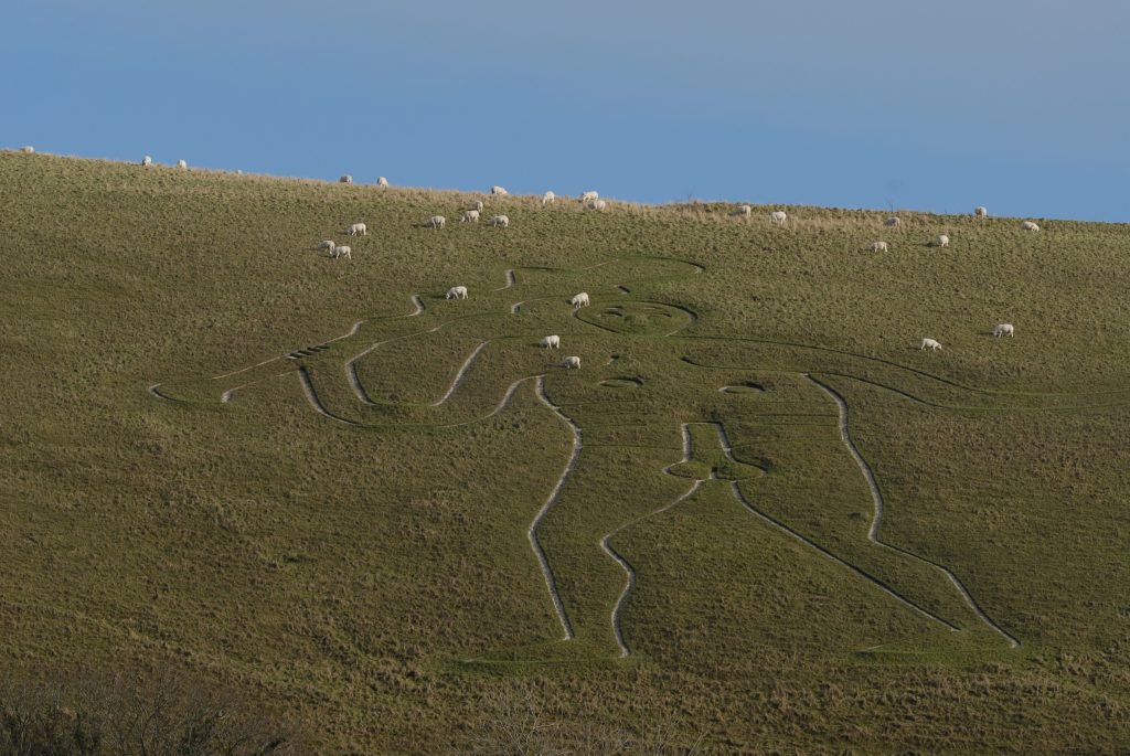 the side of a green hill with a large outline of a figure cut into the grass in white chalk. the figure is a naked man holding a club. Cerne Abbas Giant dorset. 