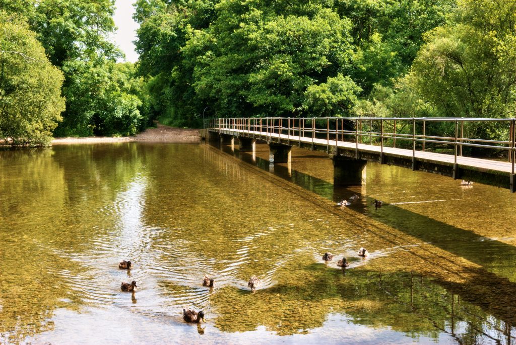 Frome Valley Trail river walk in Dorset