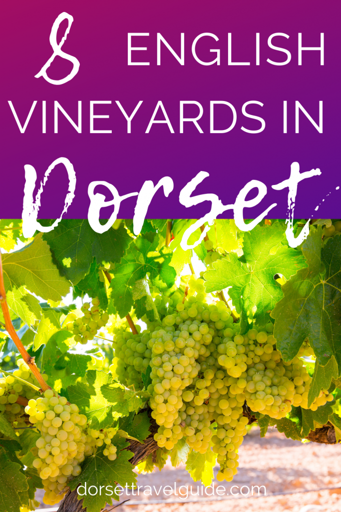 8 Vineyards in Dorset England