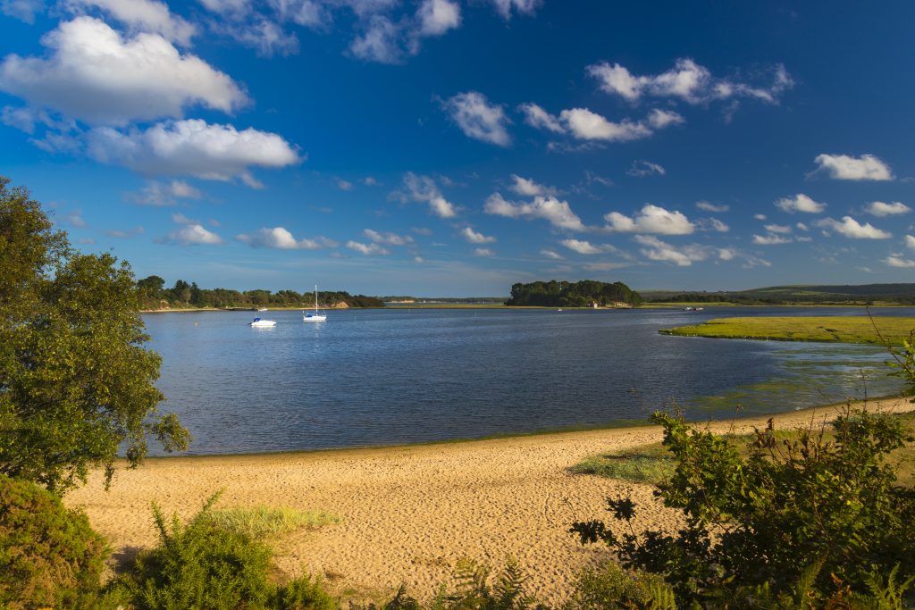 Shipstal Beach at Arne in Poole