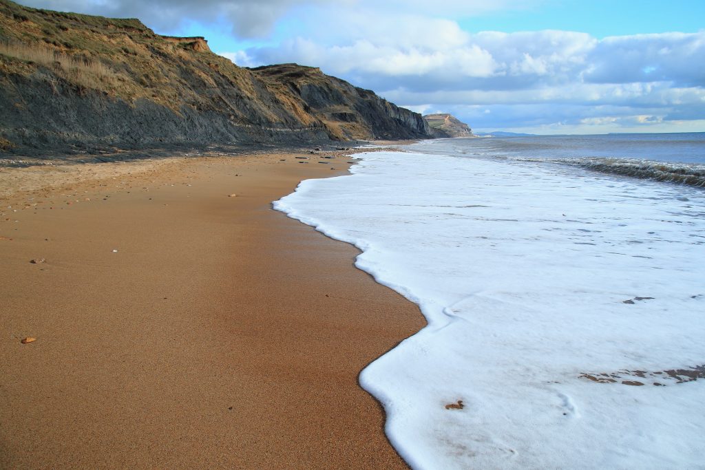 west dorset tourist attractions