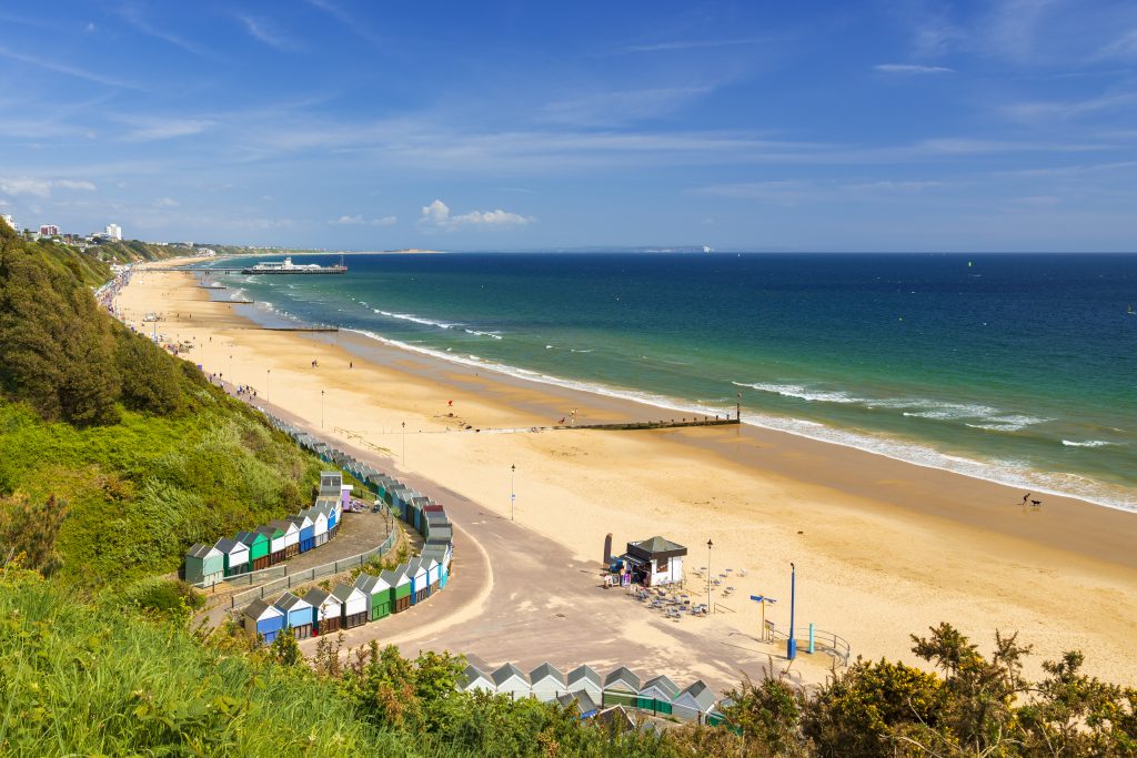 looking fown from high up at a large white sand beach n a very sunny day. a line of small bech huts in different colours lines the esplanade along the beach. there is a person playing with a dog on the waves in the distance.