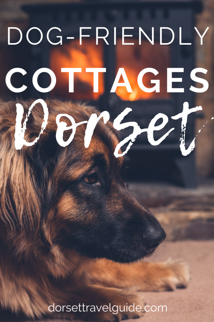 Dog Friendly Cottages in Dorset 
