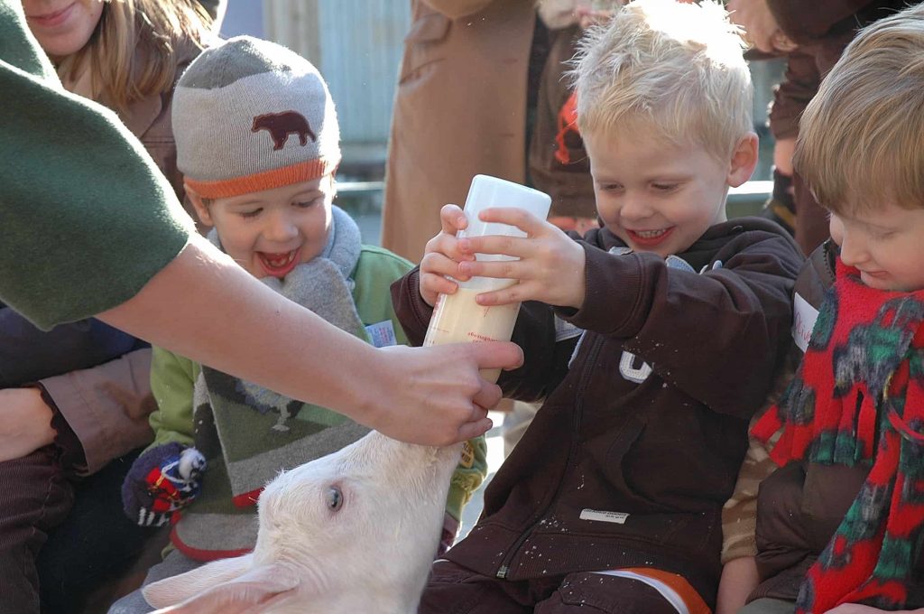 three young boys, two with blonde hair and one with a hat on. the middle one is wearing a black jumper and holding a bottle of bilk to feed a white goat. At Farmer Palmer's Dorset. 