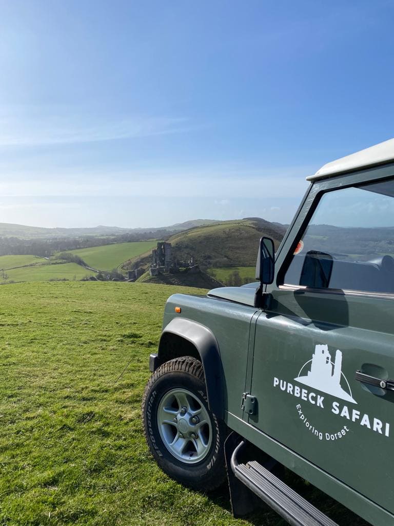 side of a dark green open sided jeep with the words purbeck safari printed on the door in white parked on a grassy hilltop overlooking the ruined stone corfe castle on a sunny day with clear blue sky