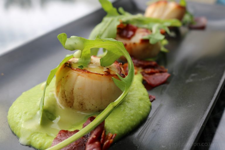 21 of the Best Things to do in Christchurch UK A Local's Guide