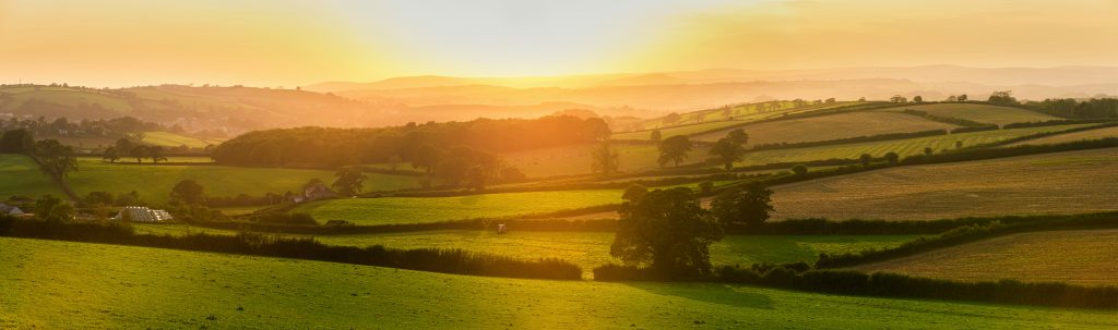 Dorset Farm Shops