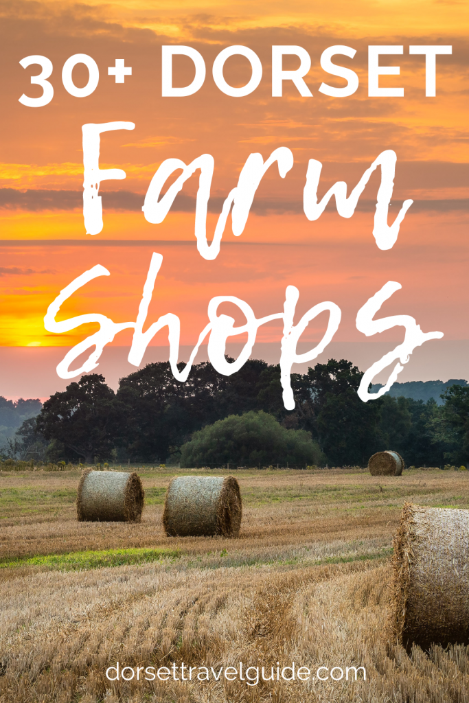 30+ Farm Shops to Explore in Dorset