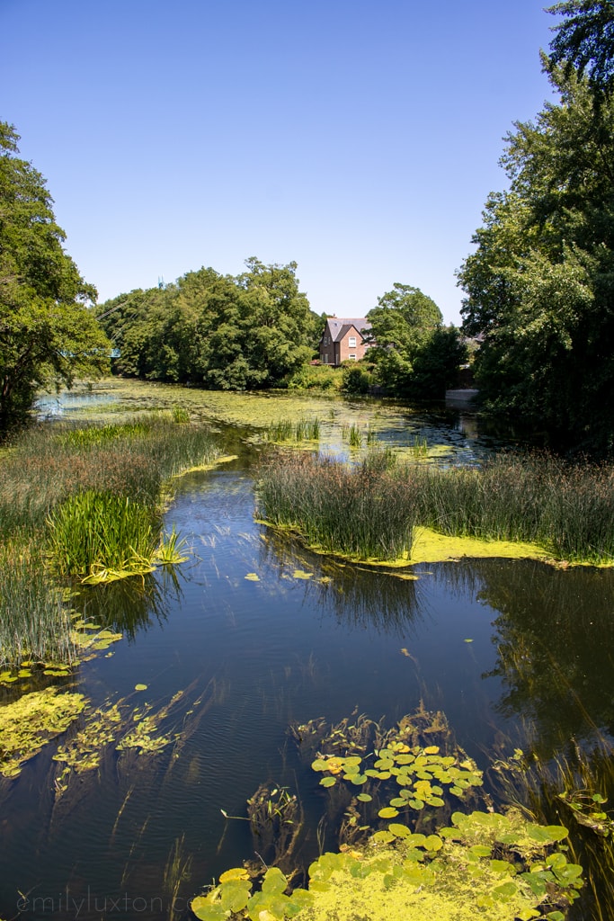 Stour Valley Way long distance river walks in dorset