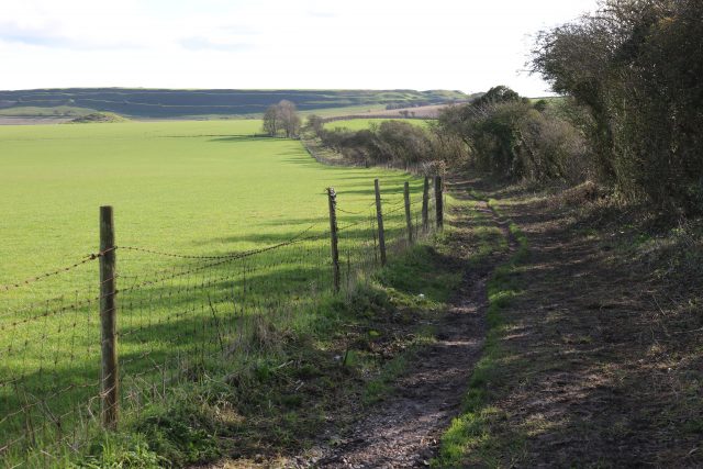 Maiden Castle Walk - 5 Mile Circular from Poundbury