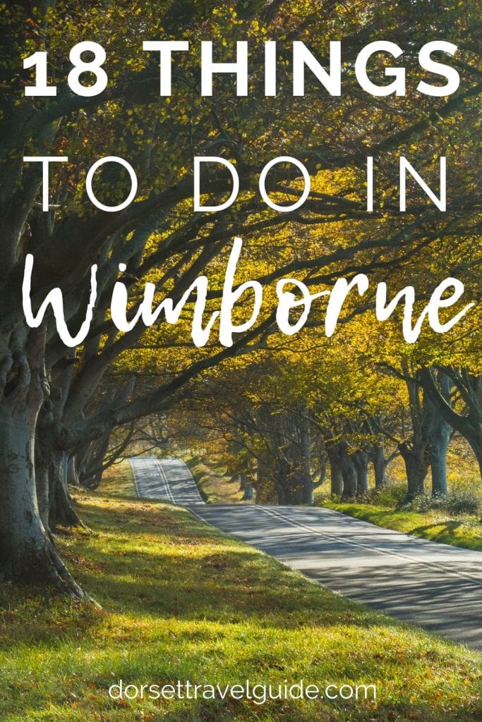 Things to do in Wimborne Dorset