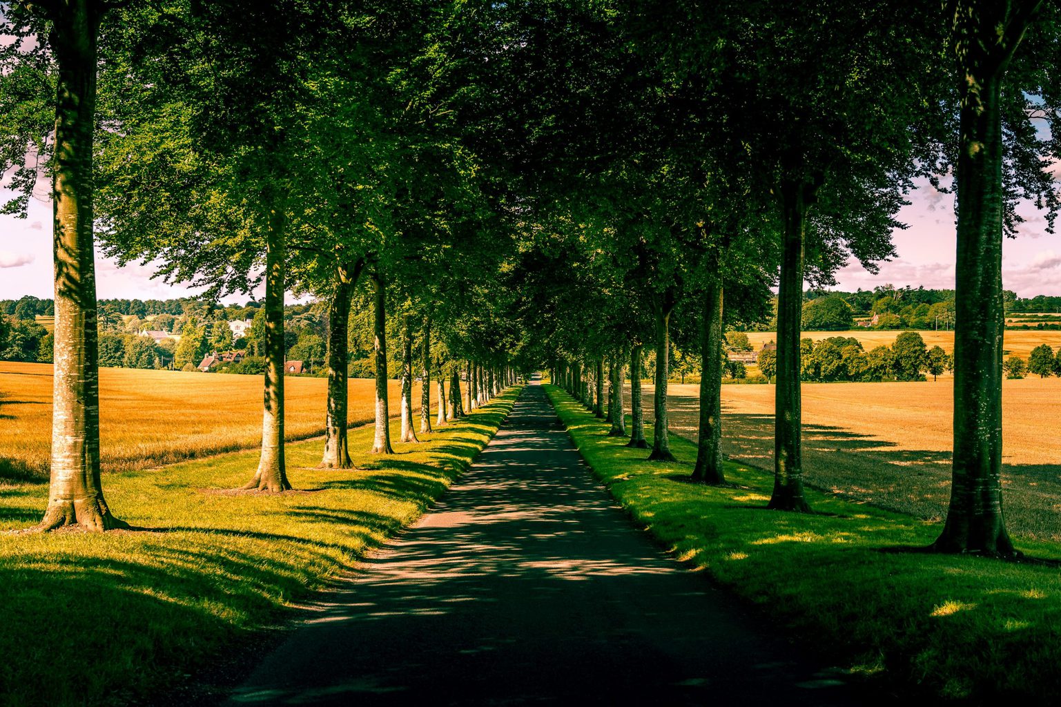 18 of the Best Things to do in Wimborne Dorset