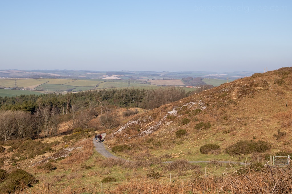 Views of Black Down on Hardy Monument Walk near Dorchester