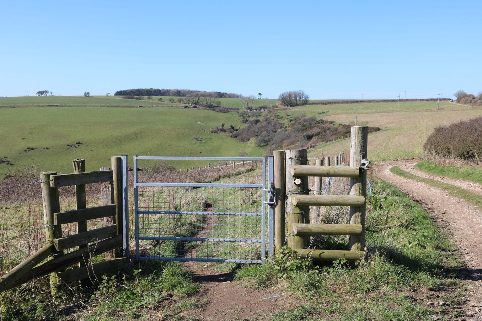 Hardy Monument to Littlebredy Walk - 9 Mile Circular