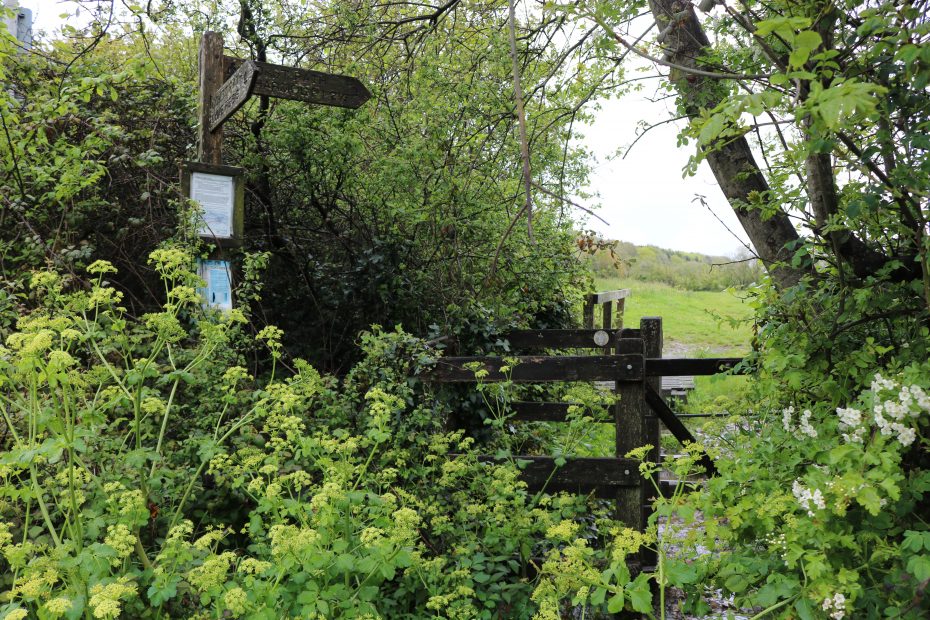 Lyme Regis To Charmouth Walk 5 Mile Circular Route