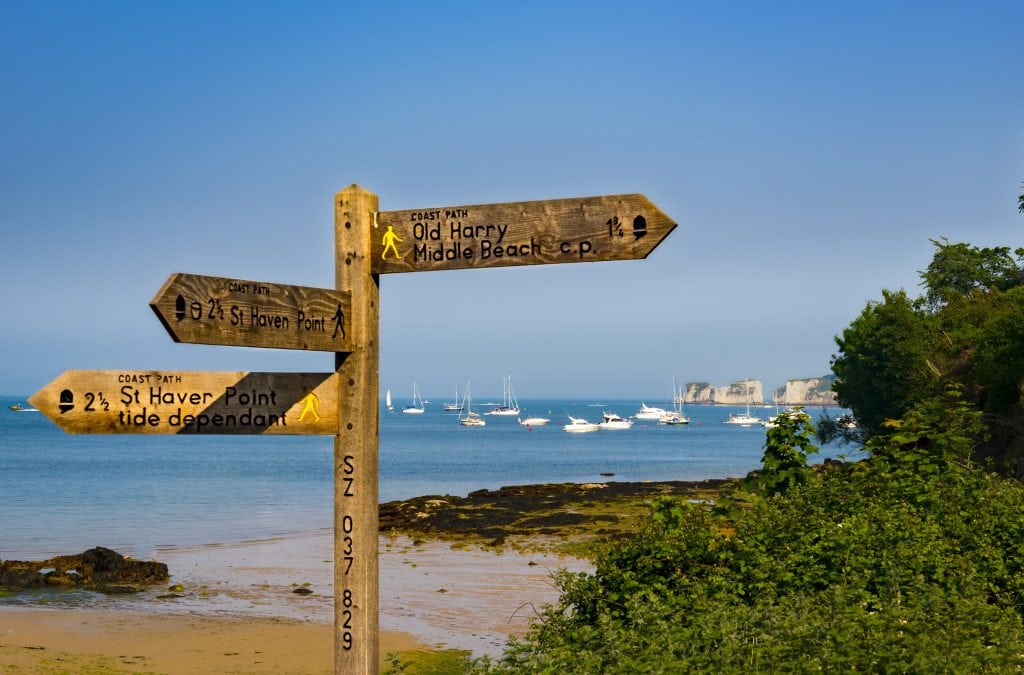 Old Harry Rocks seen from Studland