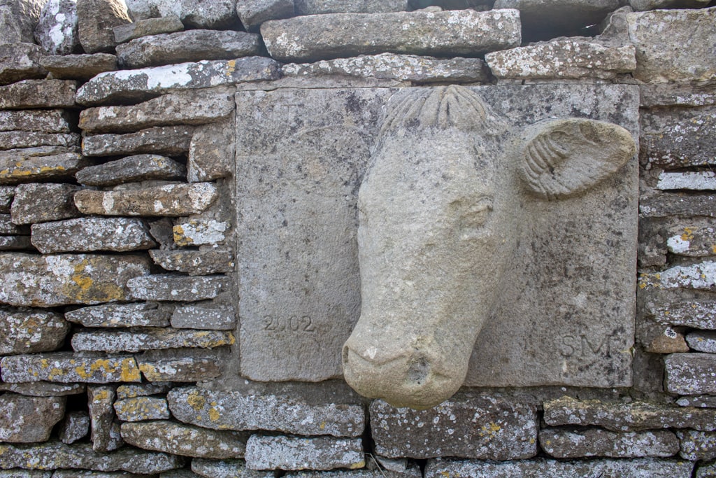 Cow Sculpture on a stone wall at at Spyway near Dancing Ledge in Dorset
