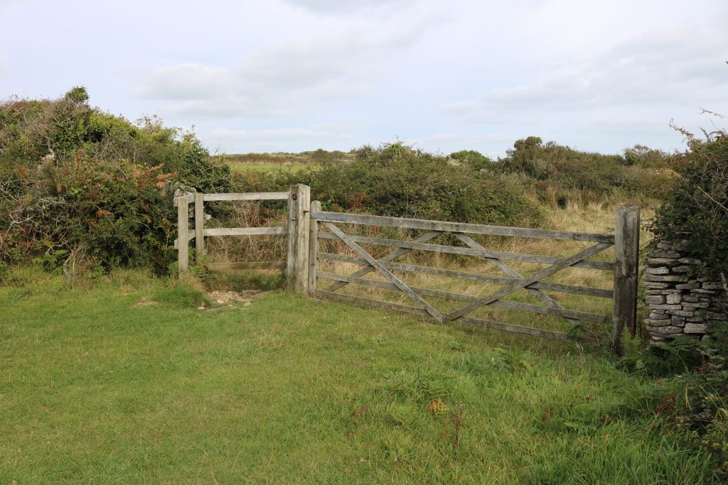 Wooden gate between a stone wall and a hedgerow