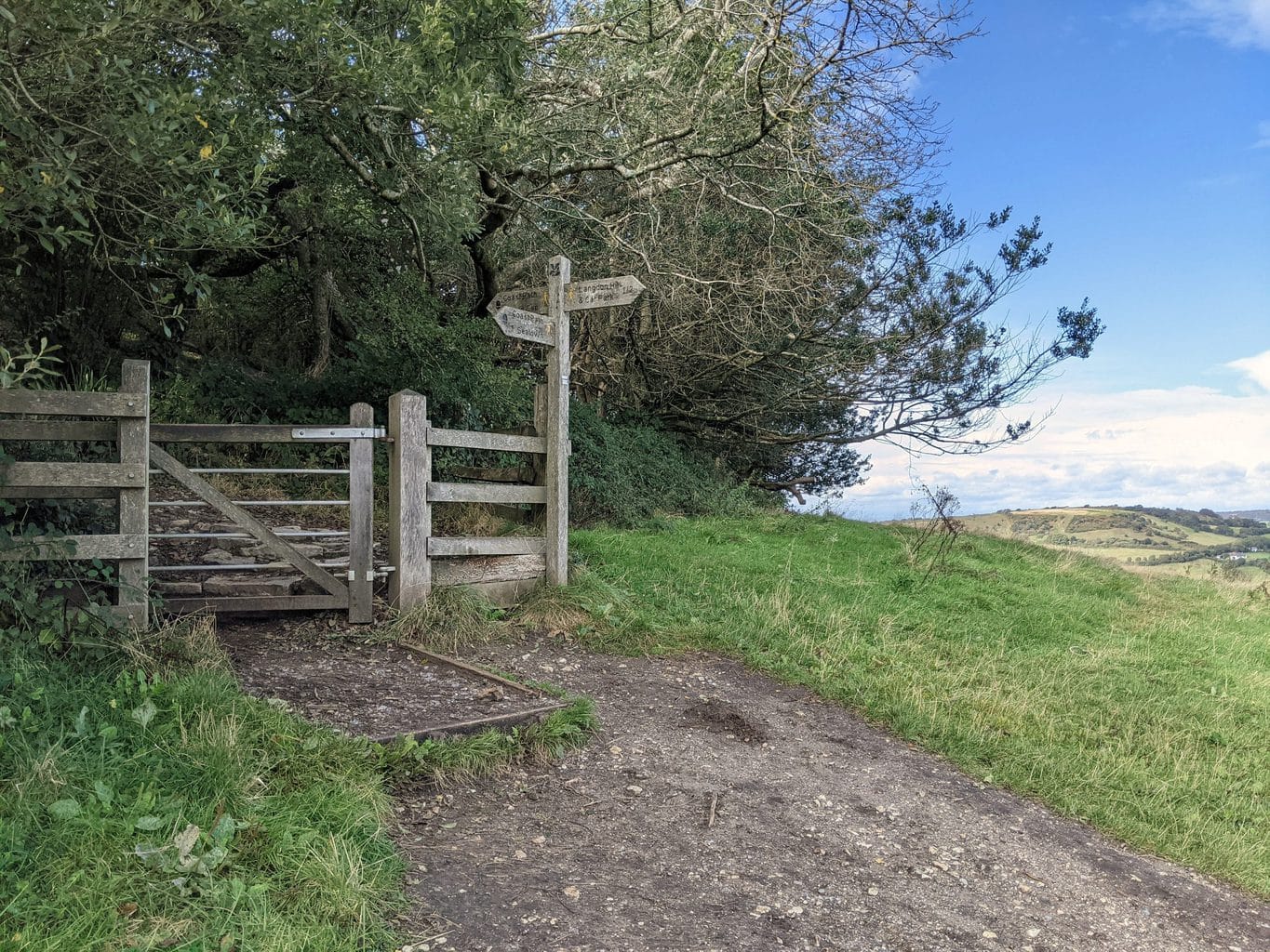 Golden Cap Walk - 4 Mile Circular From Seatown