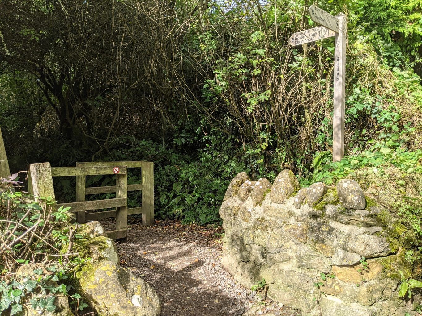 Golden Cap Walk 4 Mile circular from Seatown