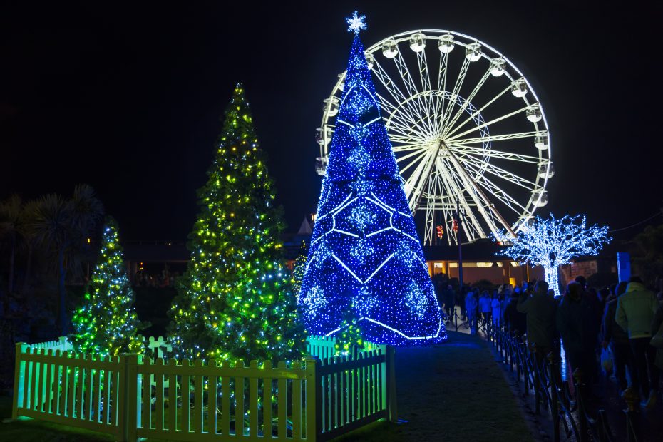 Night scene in a park with three large christmas trees lit up brightly, two in green and the bigges tin bright blue topped with a snowflake. there is a white ferris wheel behind lit up brightly against the night. Christmas Tree Wonderland in Bournemouth