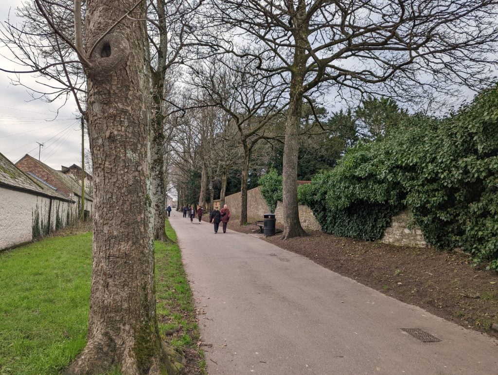 people walking on a path between trees on an overcast day in dorchester dorset