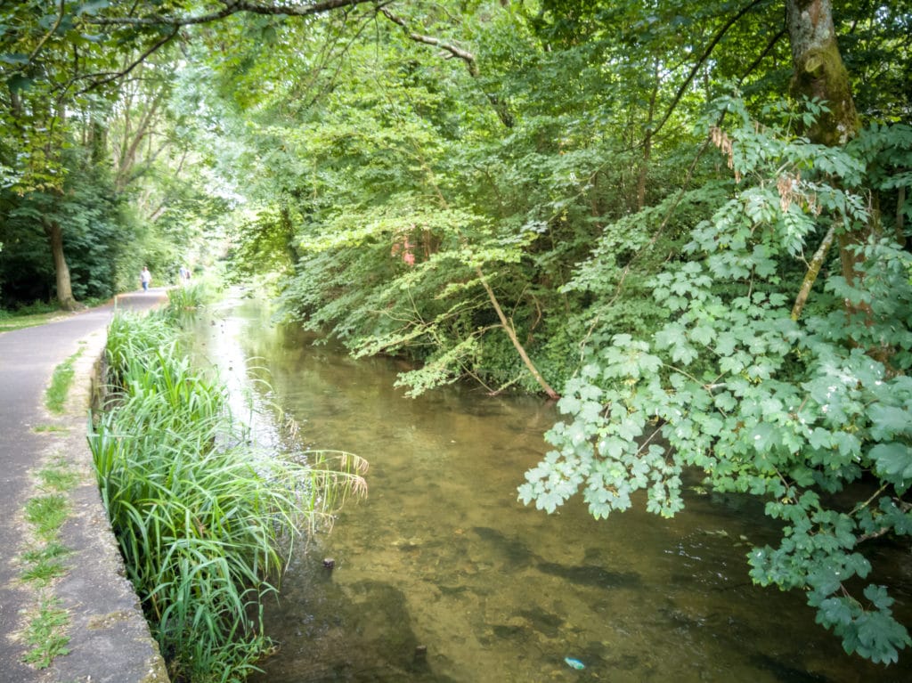 a walk along the side of a small river surrunded by green foliage in dorchester