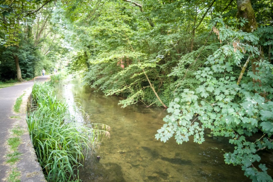 a walk along the side of a small river surrunded by green foliage in dorchester