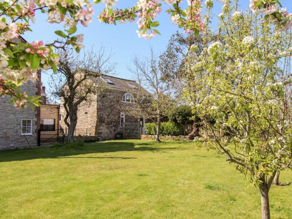 looking through pink blossom across a lawn towards a small stone holiday cottage in weymouth