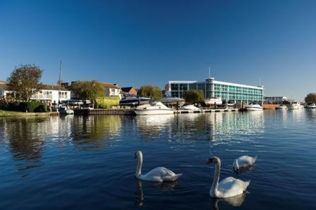 three swans on a river with blue water on a sunny day and a long low white hotel building on the bank in the background