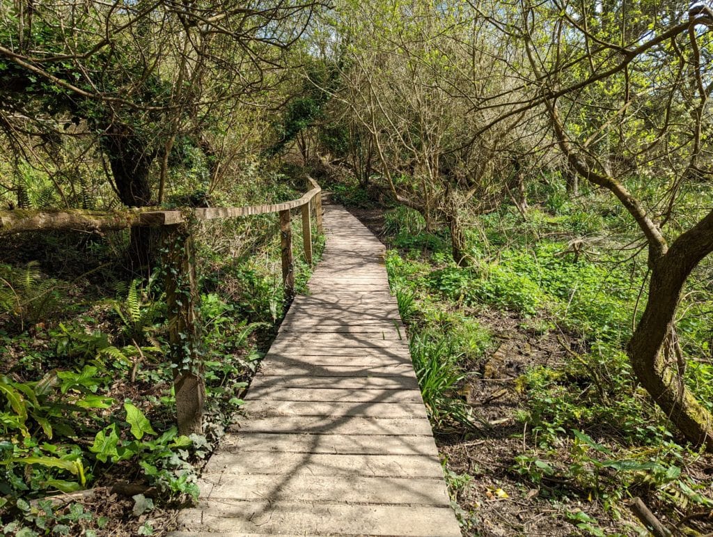 a wooden boardwalk leading over boggy ground between a patch of trees with a wooden handrail on the left hand side 