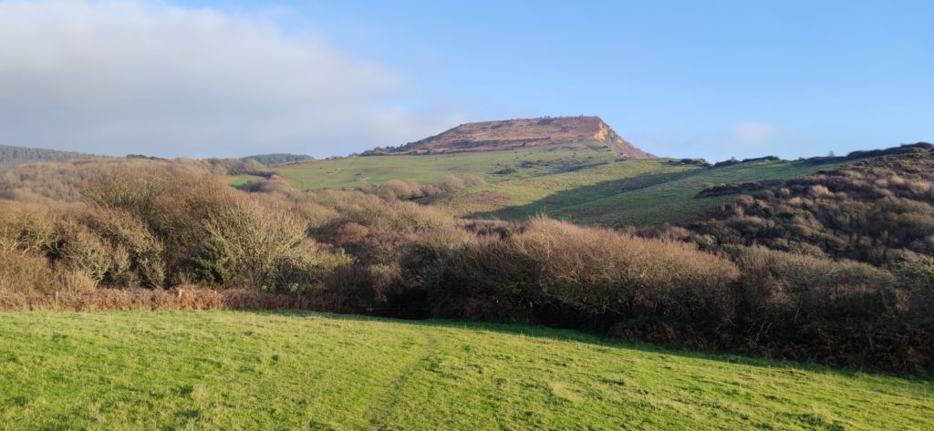 view of a grassy field and a small row of trees with a tall grassy summit of Golden Cap beyond viewed from Stonebarrow Hill near Charmouth in Dorset