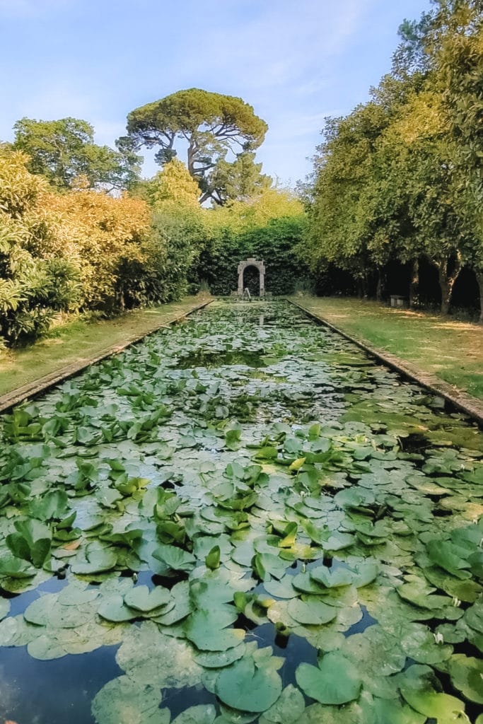 long rectangular pond covered with green lily pads with a small stone arch at the far end and bushes on either side in Atelhampton House Gardens Dorchester 
