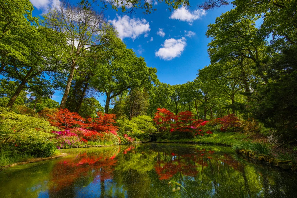 still lake with calm water surrounded by tall green trees and smaller red trees all reflexcted in the still water with bright blue sky overhead at Exbury Gardens in Hampshire