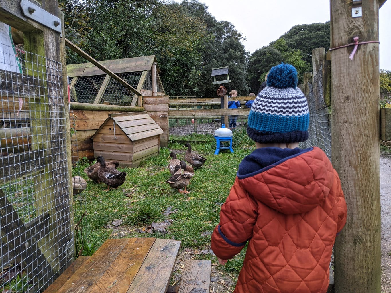 toddler in a blue wooly hat with a pompom and tick orange onesey with a hood looking at a grassy enclosure with several ducks and a small wooden hut