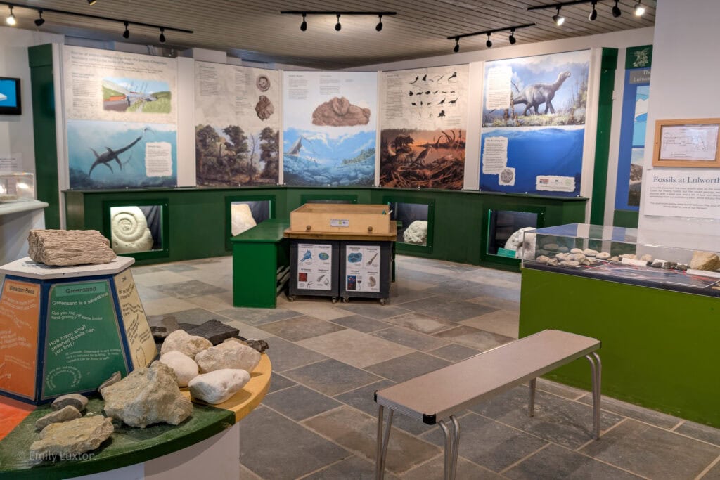 Interior of a small museum with a collection of rocks on a table in the foreground and posters on the wall about geology. 