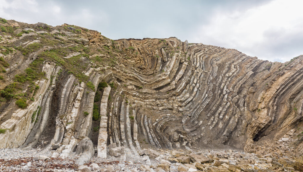 Section of a low cliff with numerous curved layers of grey rock creating a wave shape.