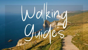 Walking Guides Button