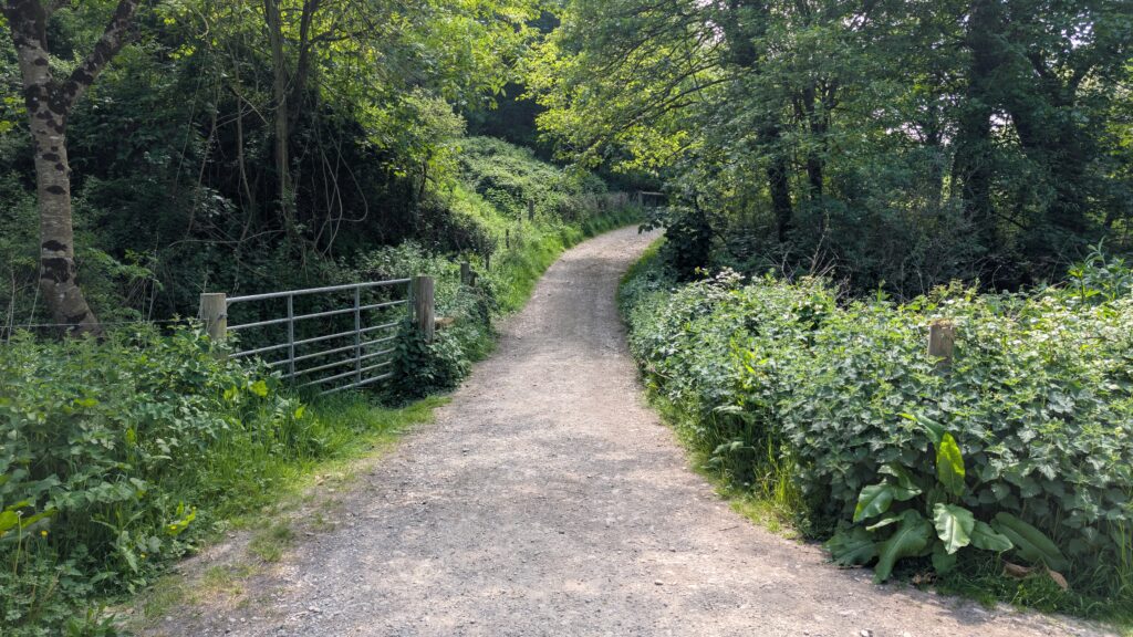gravel path leading towards a woodland
