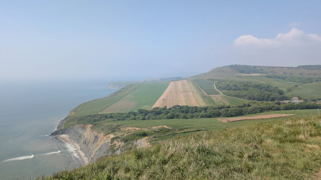 View from a clifftop looking along the coast with a beach below and grassy fields to the left