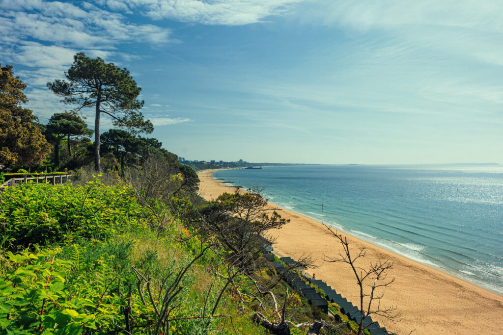 Overlooking a white sandy beach on a sunny day from a grassy cliff with trees in the foreground