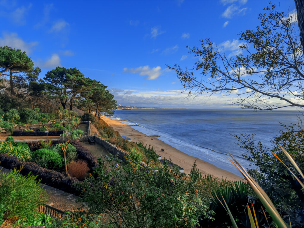 Looking down from a clifftop garden with green trees at a sandy beach with blue sea on a sunny day. Branksome Beach in Poole viewed from Branksome Chine Gardens.
